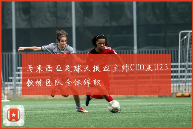 马来西亚足球大换血主帅CEO及U23教练团队全体辞职
