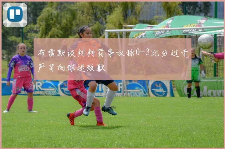 布雷默谈判判罚争议称0-3比分过于严苛向球迷致歉